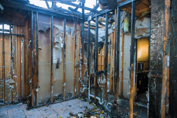 Professional Soot Cleanup technician working in Saint Bonifacius, MN